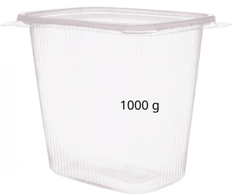 Rechteckschale 1000 g mit Deckel Karton/Inhalt 200 Stück