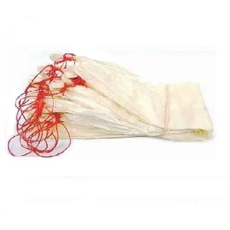 S A M S U N G   C A M E R A   P I C T U R E S   