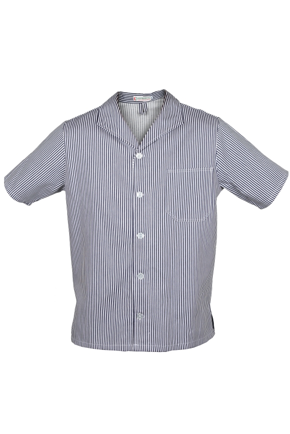 Fleischer Bluse kurzarm
					- Gr&ouml;&szlig;en 50-62 -
				