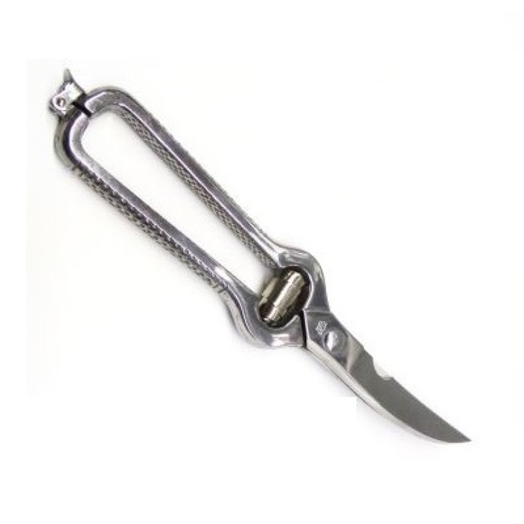 S A M S U N G   C A M E R A   P I C T U R E S   