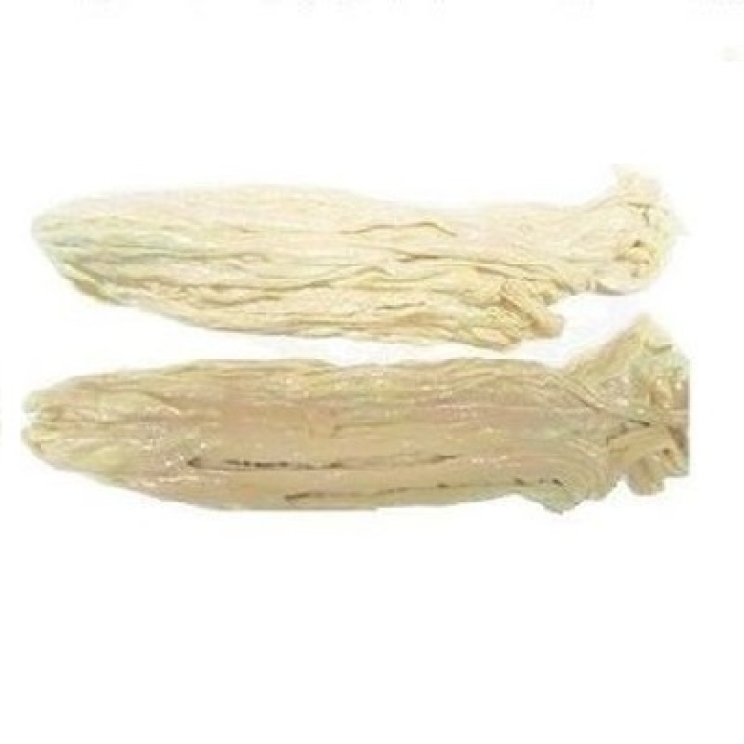 S A M S U N G   C A M E R A   P I C T U R E S   