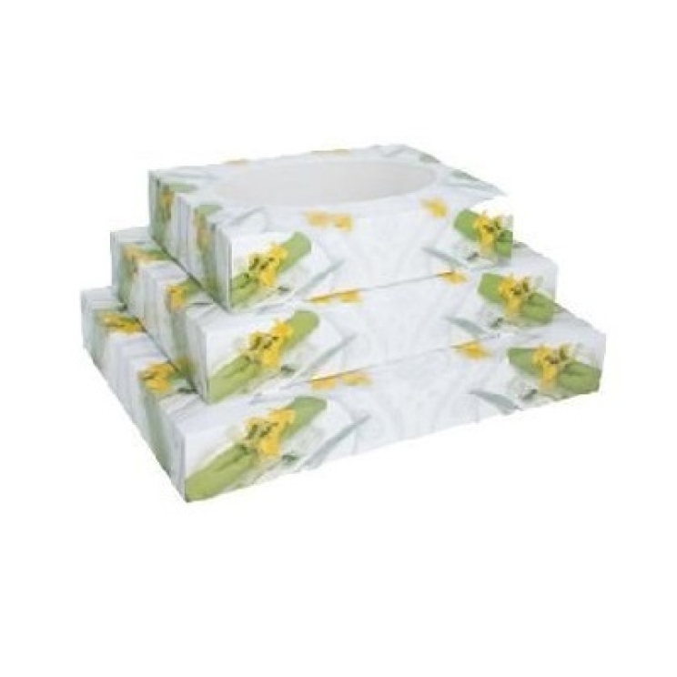 Service-Kartons 360x250 10 Stück