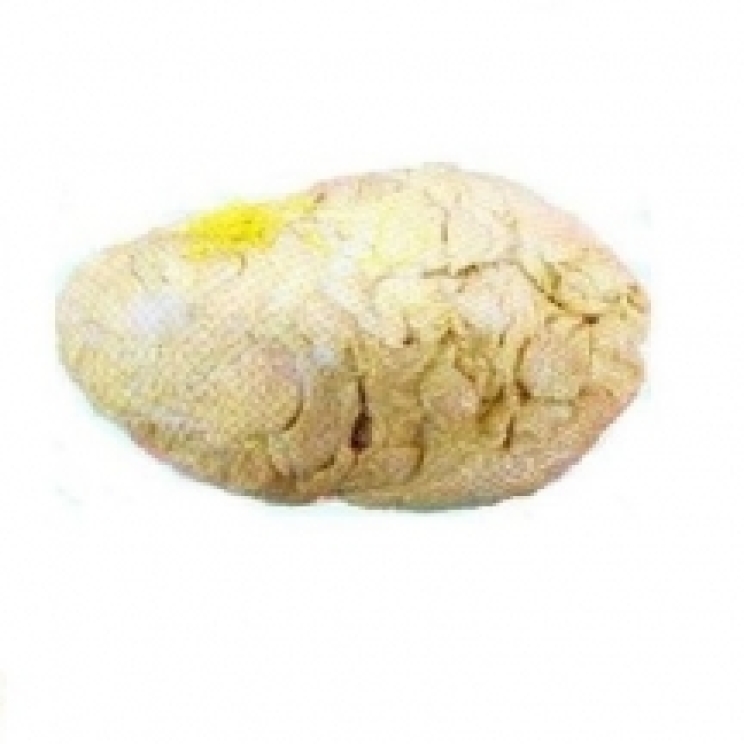 Schweinebutten - 10 Stück im Netz -